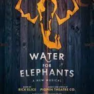Experience the Magic: Water for Elephants on Broadway