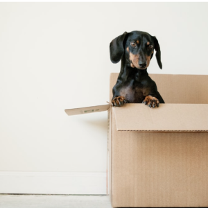 10 Tips For a Stress-Free Local Move
